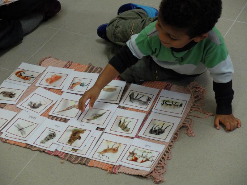 Montessori Gaillac