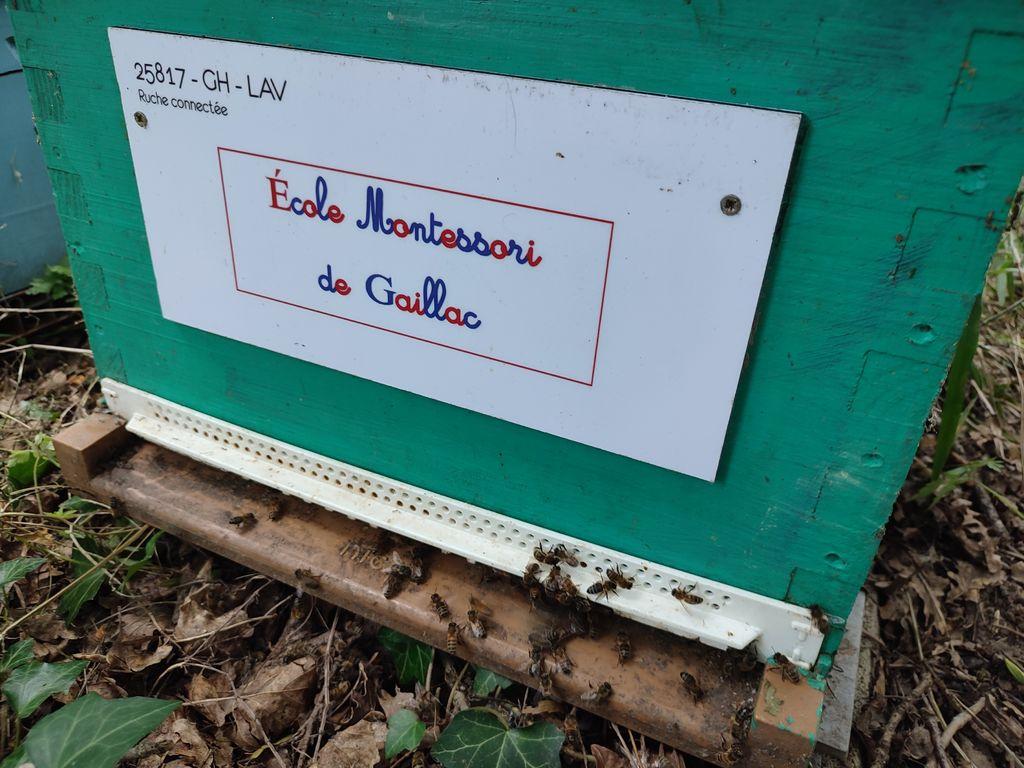 Un toit pour les abeilles